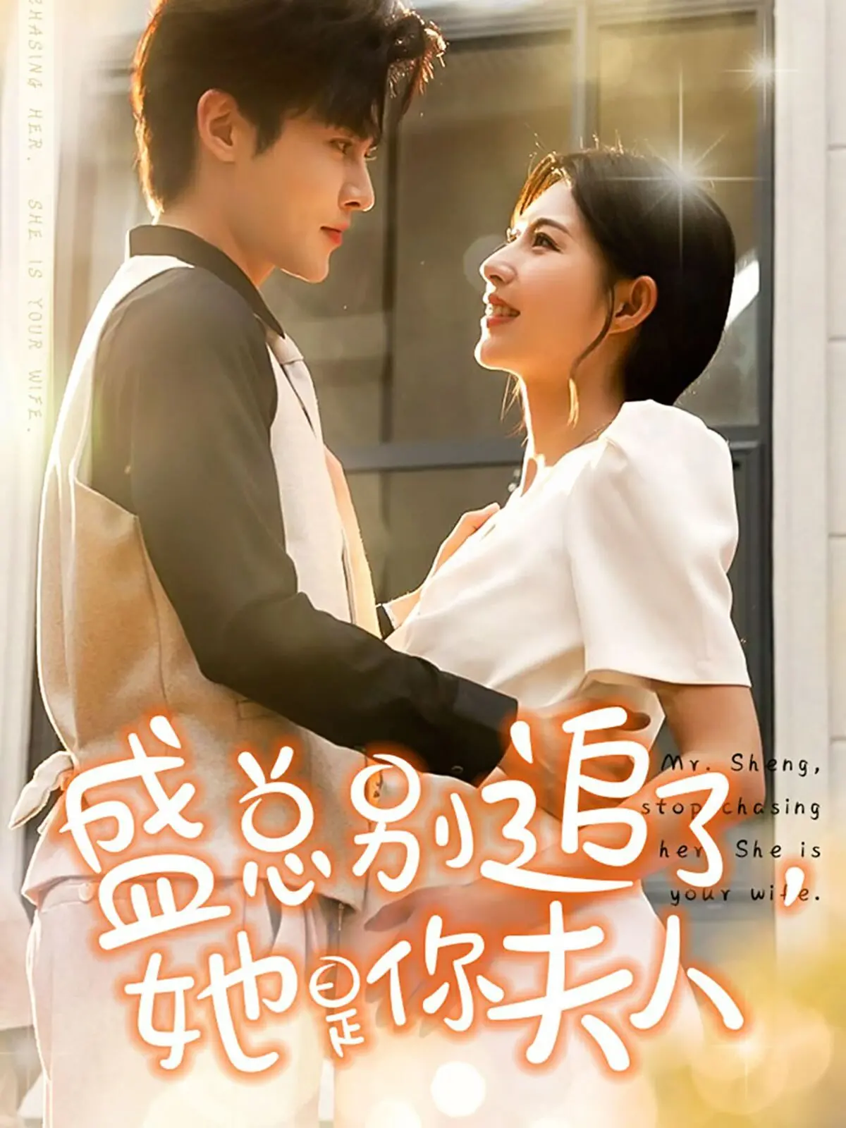 《盛总别追了，她是你夫人》：先婚后爱，霸道总裁的追妻火葬场！