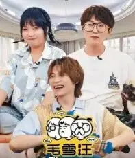 《毛雪汪 加更版》：毛不易和李雪琴的爆笑日常，治愈系友情的加量放送，快乐源泉！