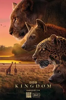 《动物王国2025》：末日生存？动物世界大冒险？揭秘未来世界动物的命运！