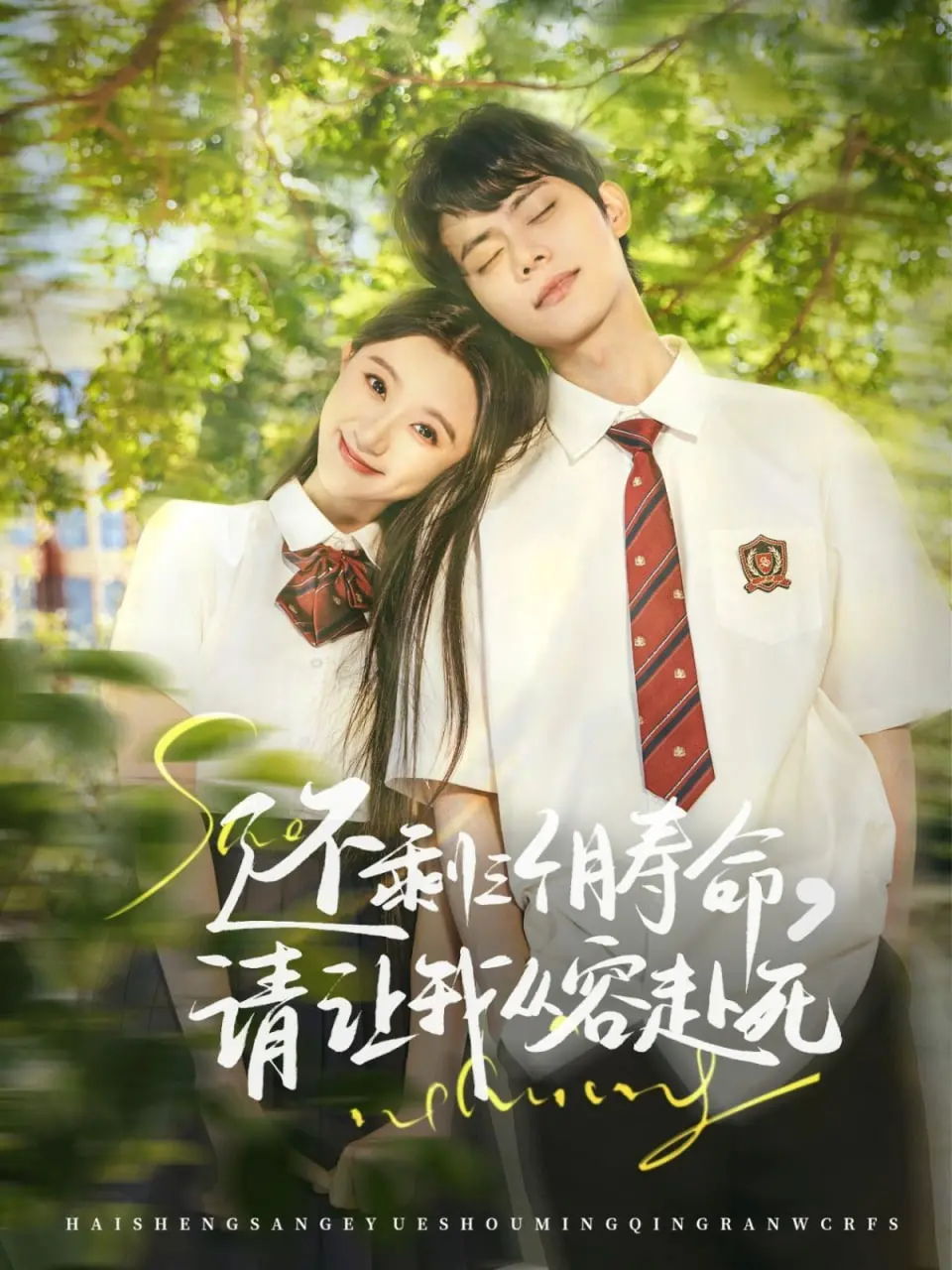 《还剩三个月寿命，请让我从容赴死》：生命终点的绝地反击，与时间赛跑的震撼人性片