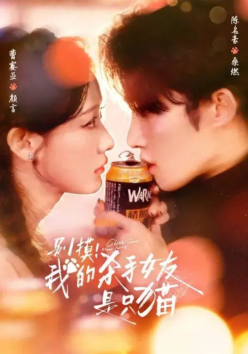 《别摸我的杀手女友是只猫》：当杀手遇上猫奴，萌系反差下的爆笑人生！