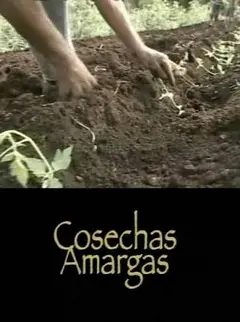 《苦涩的收获》：直面战火中的人性挣扎与生存考量，一部震撼心灵的叙利亚纪录片深度解析