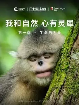 《我和自然 心有灵犀》第一季：生命力量的震撼觉醒，感受自然界的奇妙共鸣
